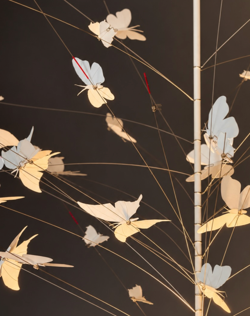 La Festa delle Farfalle Lampada