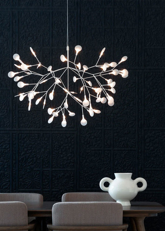 Heracleum III Ceriani luce