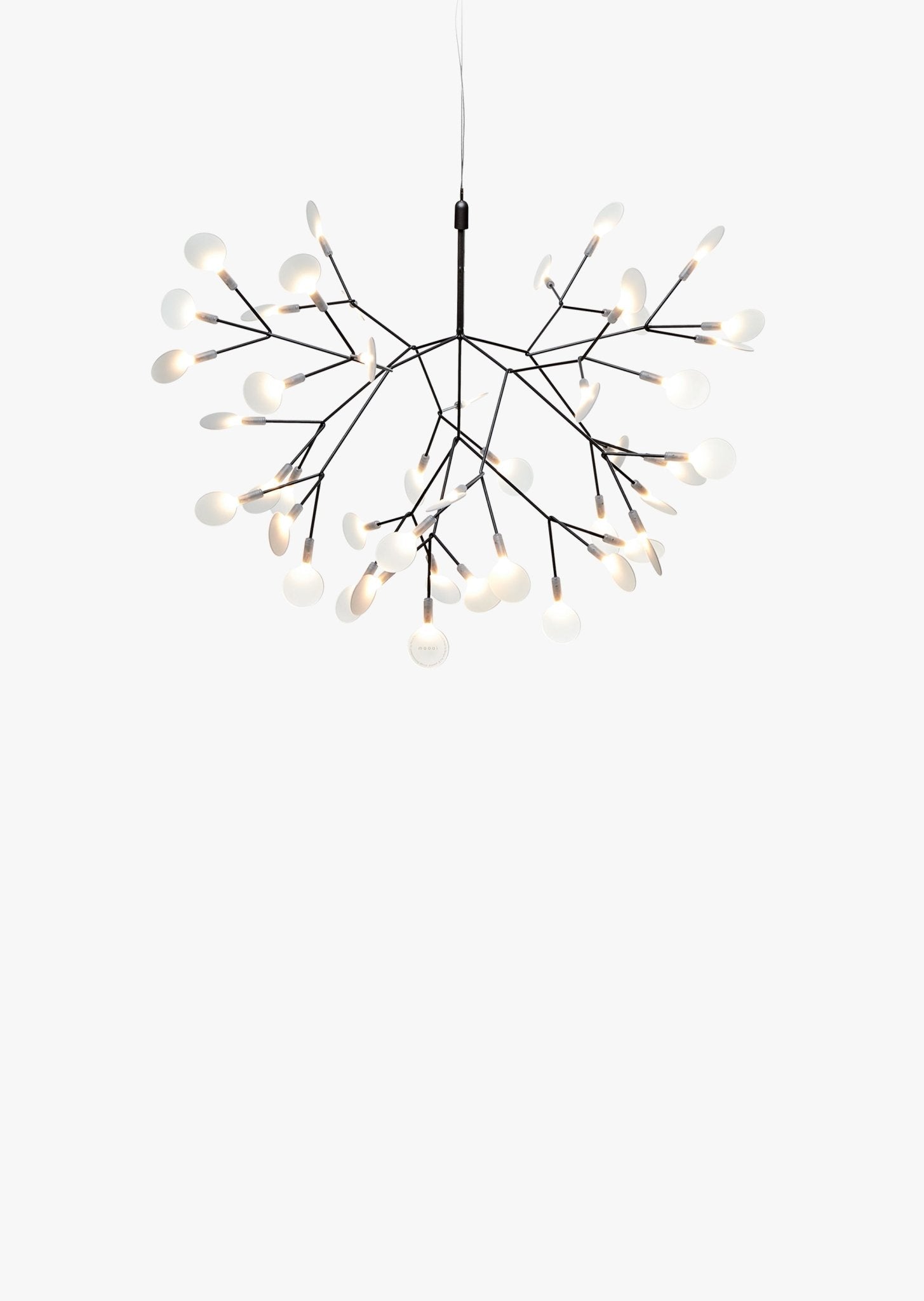 Heracleum III - lampada a sospensione - Ceriani Luce