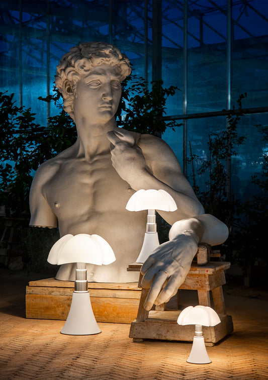 Pipistrello bianco (EXPO)