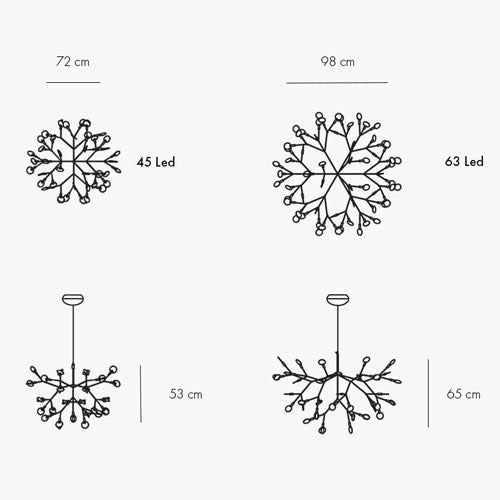 Heracleum III misure